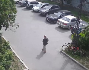 подозреваемая_МВД