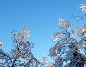 Погода 8 февраля 2026