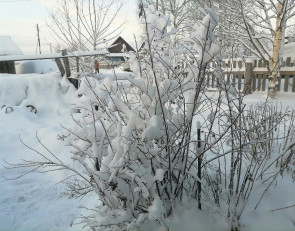 Поселок Валдай Сегежского района