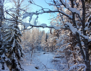 Погода на 8 февраля