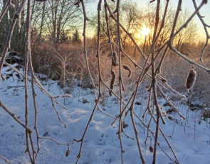 Карелия зима