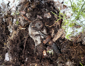 находки поисковиков  в лесу