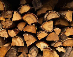 дрова