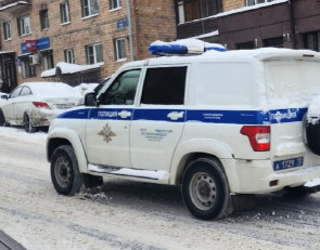 Автомобиль полиции