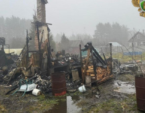 Пожар в Ленобласти