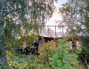 пожар_Кривцы