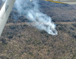 Лесной пожар