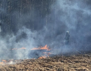 пожарные тушат загоревшуюся траву