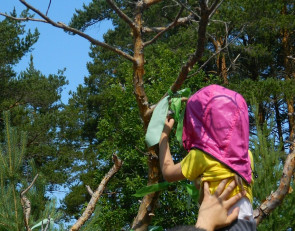 ребенок привязывает ленточку на дерево