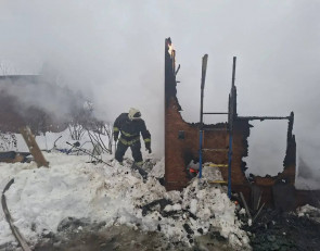 Пожар в Прионежье