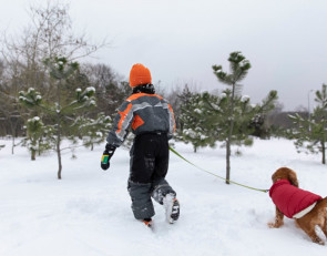 ребенок с собакой