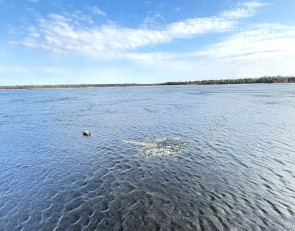 майна на озере