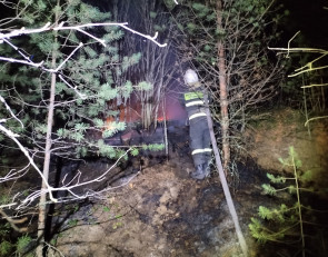 Пожар в лесу