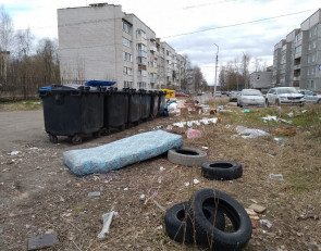 Мусор у помойки в Пряже