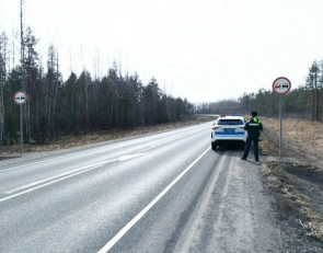 рейд_дорога_гаи