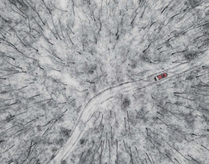 машина_лес_дорога_зима_доставка