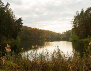 река