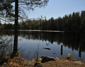 озеро_весна