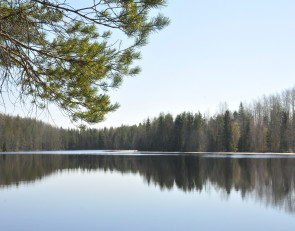 весна_озеро_осень_сосна