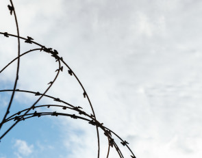 проволока_граница