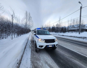 полицейская машина