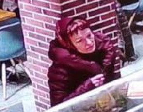 Розыск подозреваемой