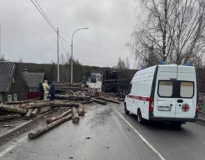 дтп_лесовоз