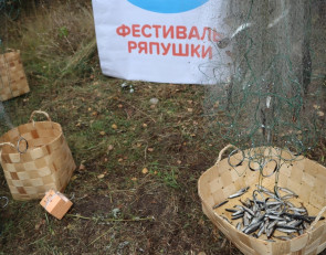 фестиваль ряпушки