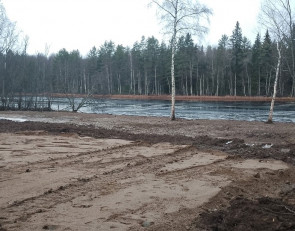 Расчищенный от леса берег Шуи