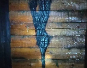 Пожар в Шальском