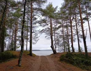 Берег озера в селе Шелтозеро