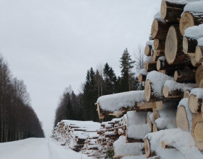 бревна_дорога_зима