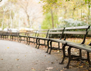 Скамейка в парке