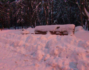 скамейка в парке