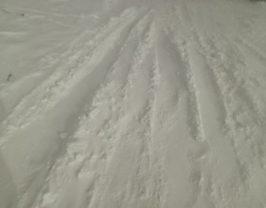 снежный двор