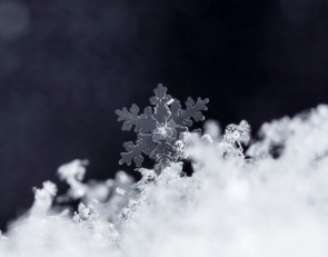 Снег на картинке