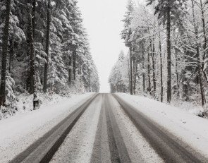 дорога через лес