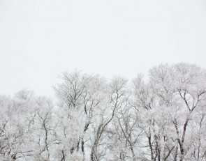 снегопад_снег_зима