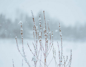 снегопад_снег_зима