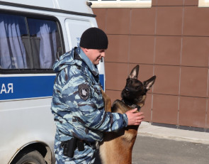 Служебная собака