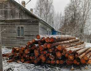 привезли дрова