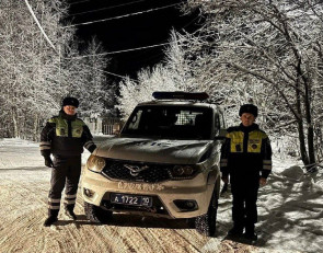 Экипаж полиции