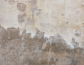 Старая стена