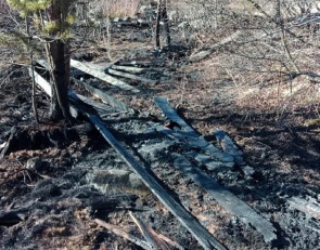 Пожар в лесу