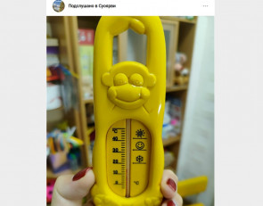 холод сад