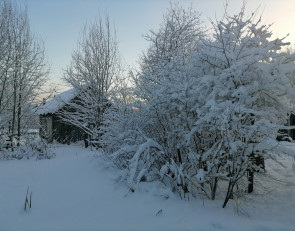 снег_зима_мороз