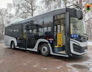 автобус_транспорт