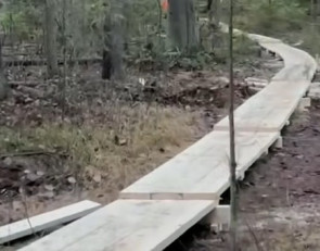 Тропа здоровья