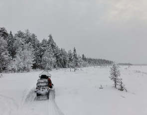 снегоход на природе
