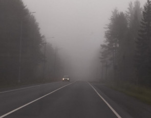Туман на дороге